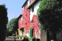 Le Barone Tuscan villa hotel in Chianti